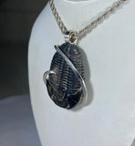 Trilobite Fossilized Pendant Hand Wrapped in Silver