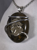 Pyritized Ammonite Pendant Hand Wrapped in Silver