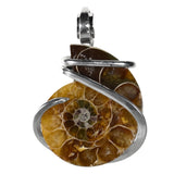 Fossilized Ammonite Pendant Hand Wrapped in Silver